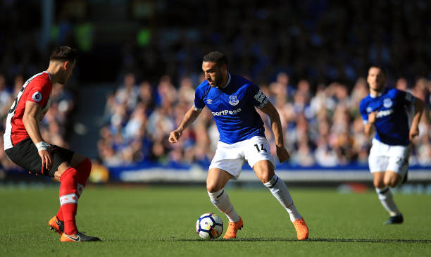 景的展望 景的展望